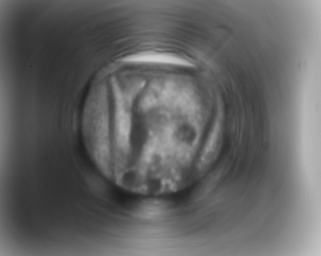 X0000088140315200706041341