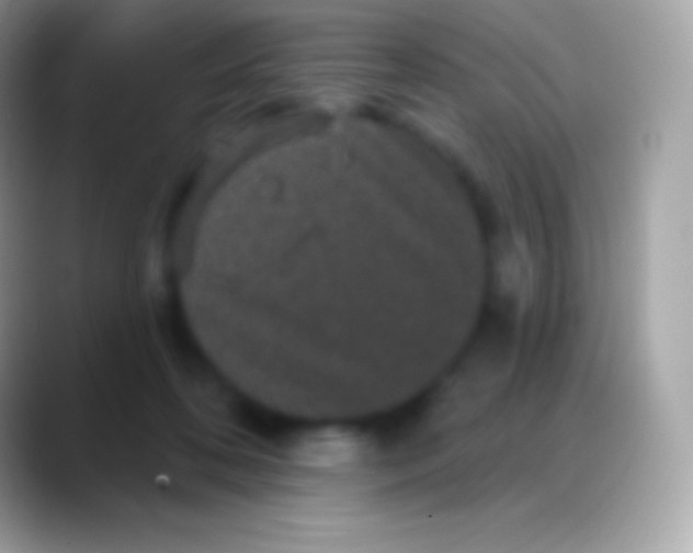 X0000088140316200706041341