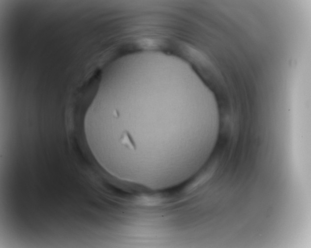 X0000088140317200706041341