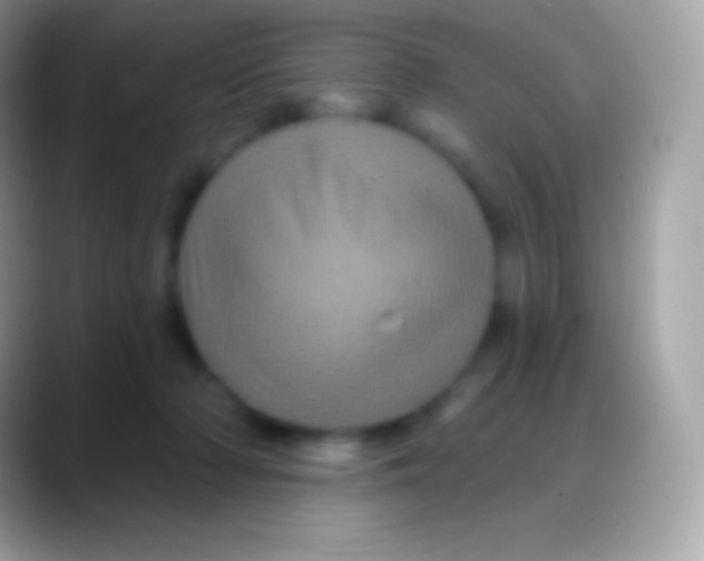 X0000088140318200706041341