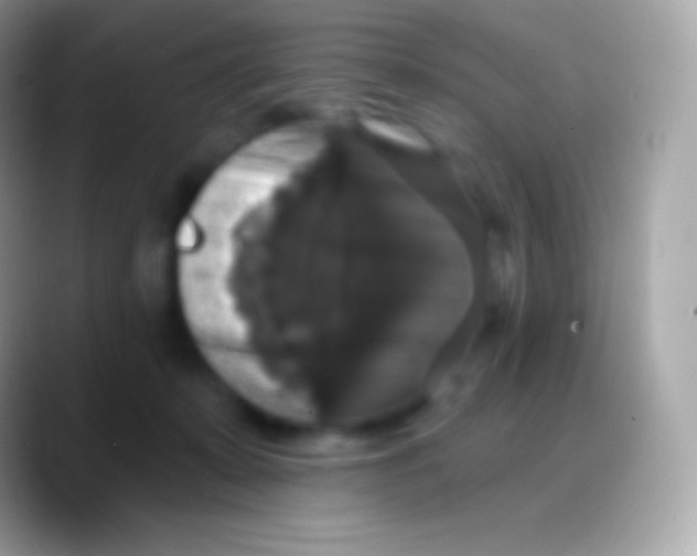 X0000088140319200706041341