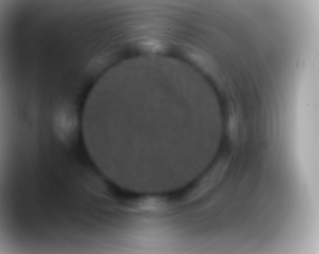 X0000088140320200706041341