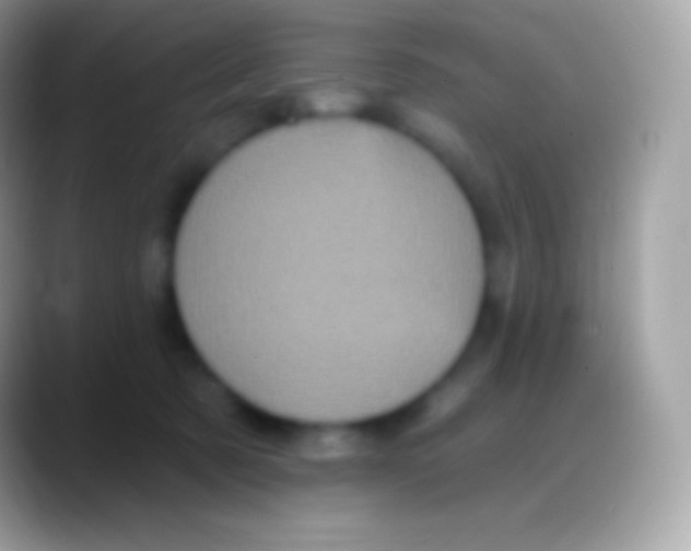 X0000088140321200706041341