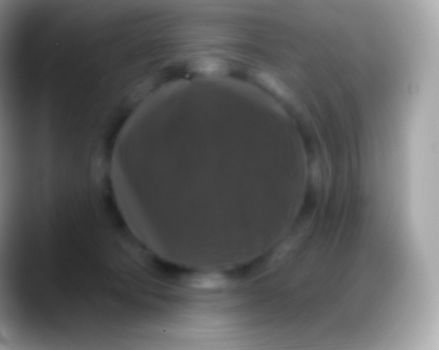 X0000088140322200706041341