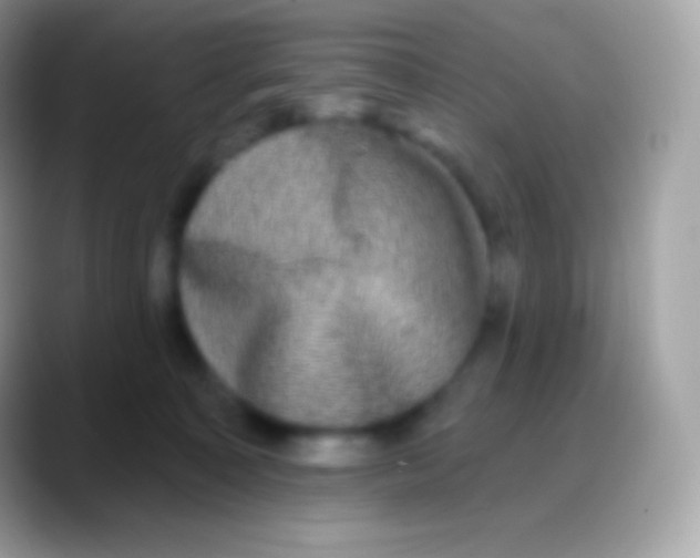 X0000088140323200706041341