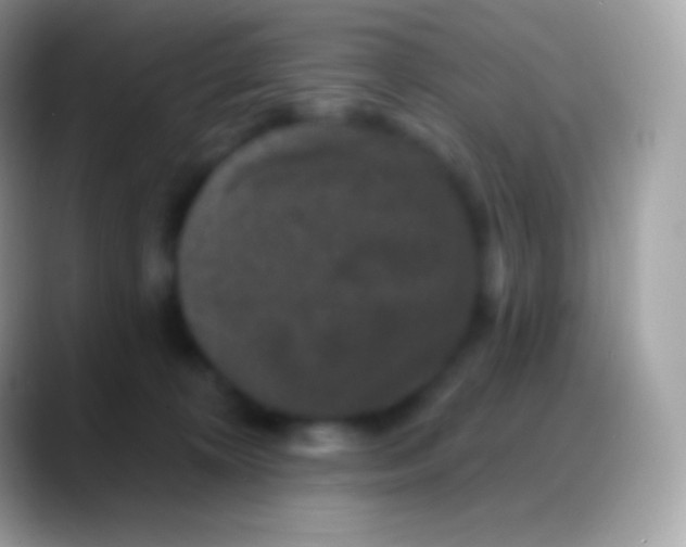 X0000088140324200706041341