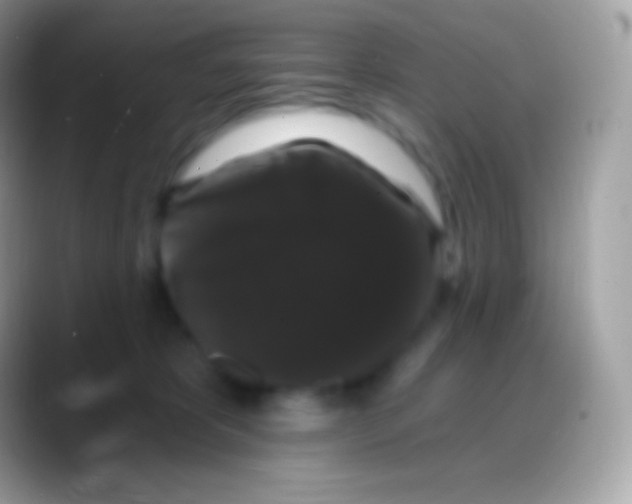 X0000088140325200706041341