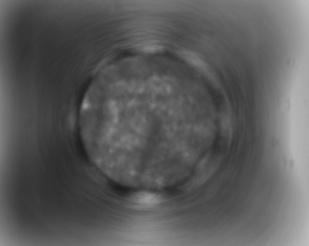 X0000088140326200706041341