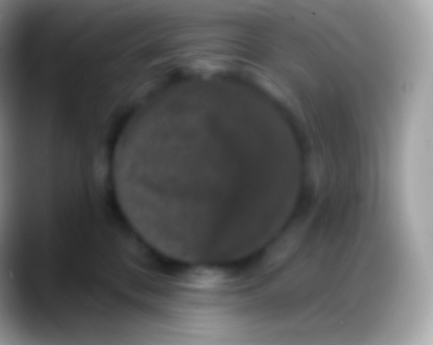 X0000088140328200706041341