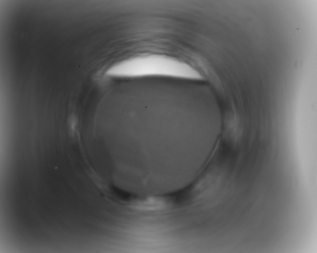 X0000088140329200706041341