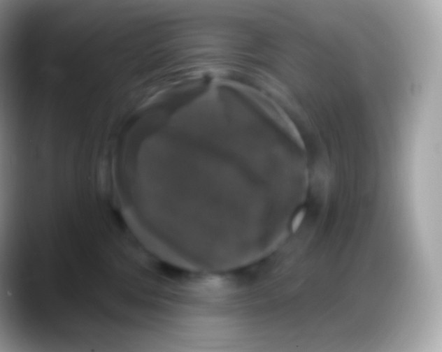 X0000088140330200706041341