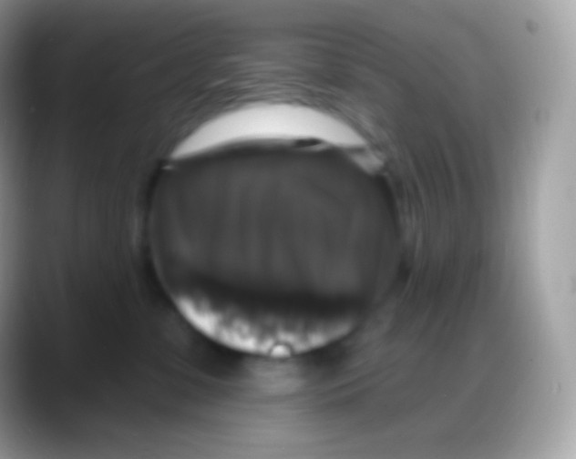 X0000088140331200706041341