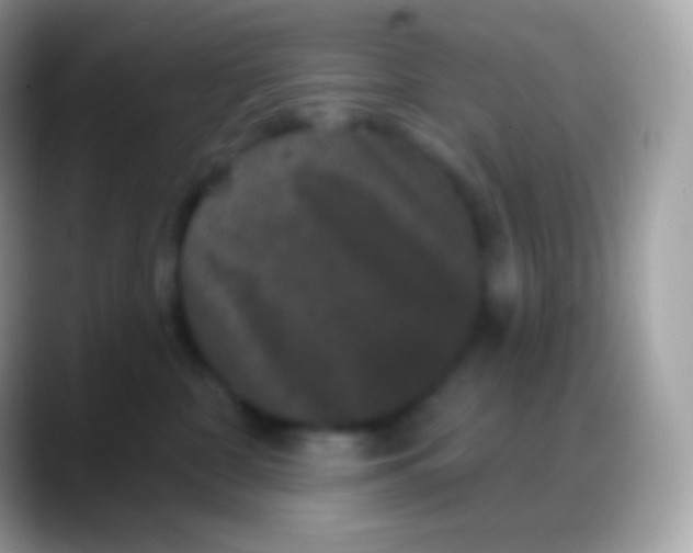 X0000088140332200706041341