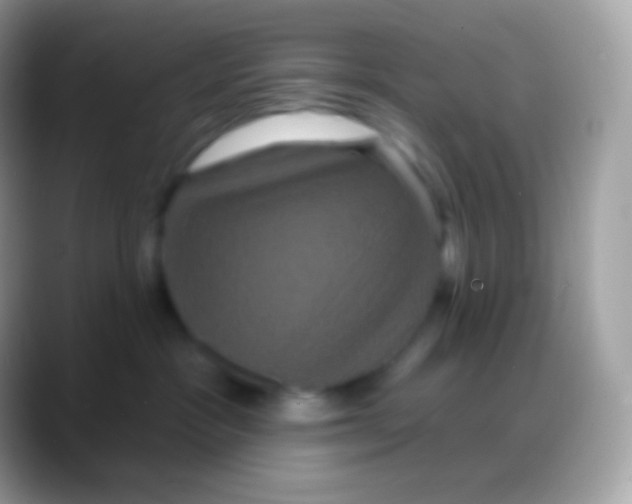 X0000088140333200706041341