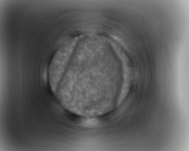 X0000088140334200706041341