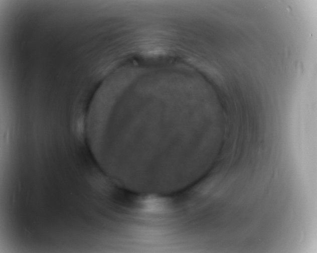 X0000088140336200706041341