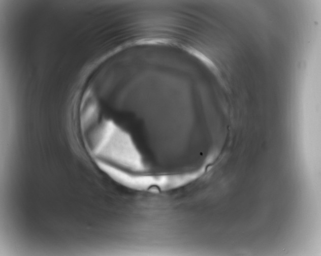 X0000088140337200706041341