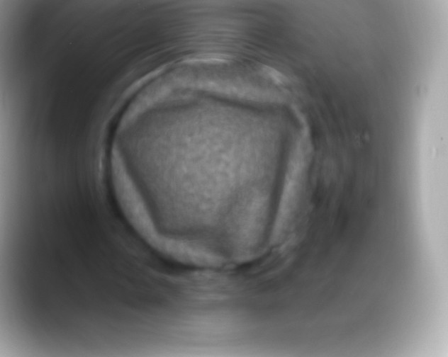 X0000088140338200706041341