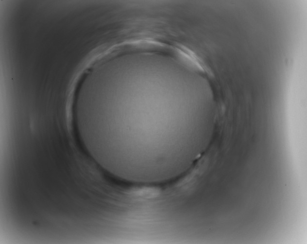 X0000088140340200706041341