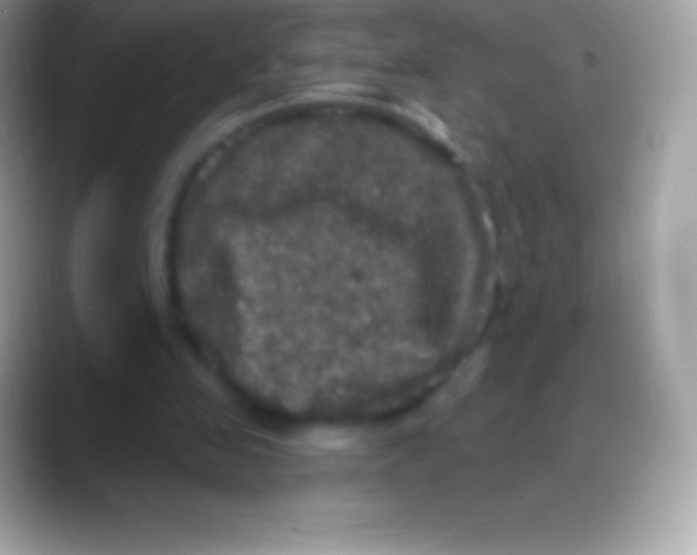 X0000088140341200706041341