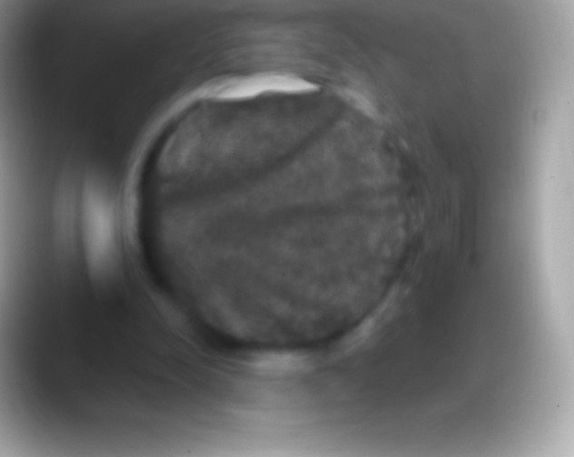 X0000088140342200706041341