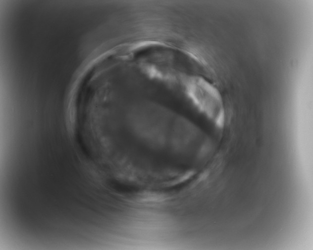 X0000088140343200706041341