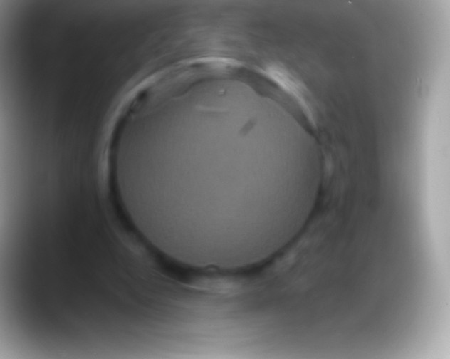 X0000088140344200706041341