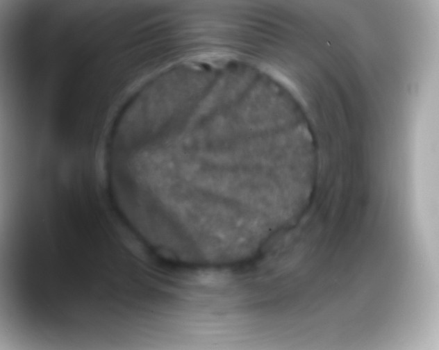 X0000088140345200706041341