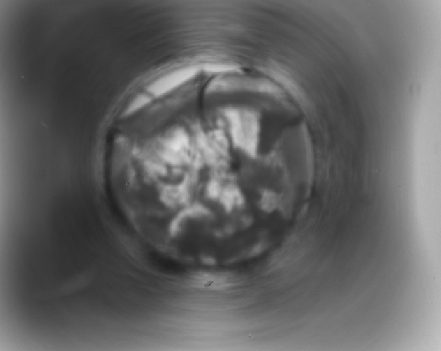 X0000088140346200706041341