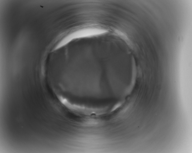 X0000088140347200706041341