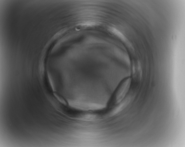 X0000088140348200706041341