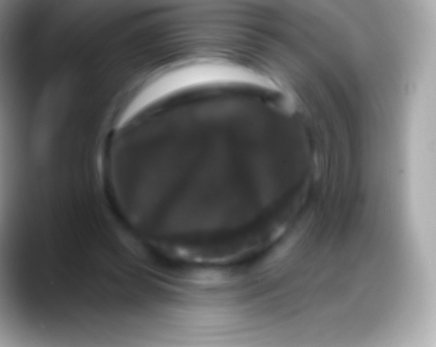 X0000088140349200706041341