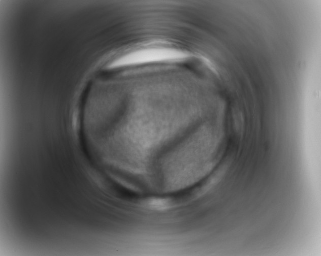 X0000088140350200706041341