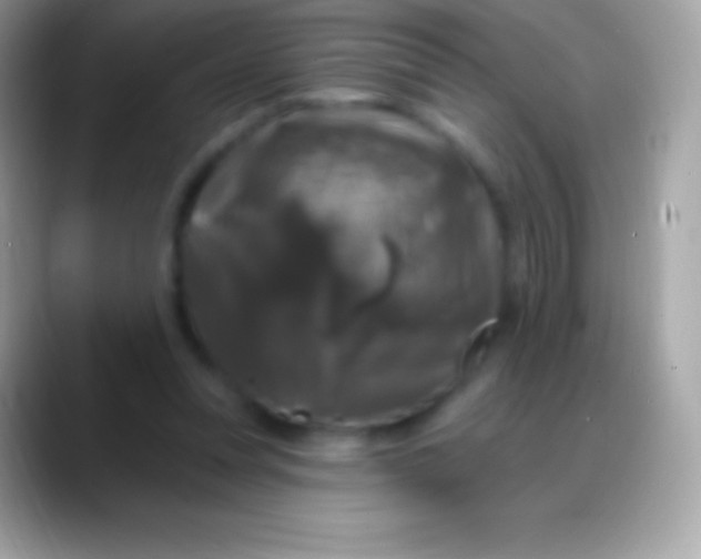 X0000088140351200706041341