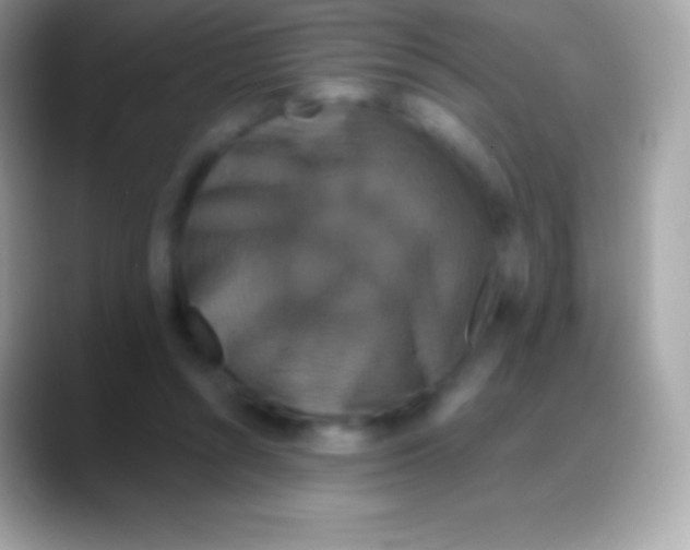 X0000088140352200706041341