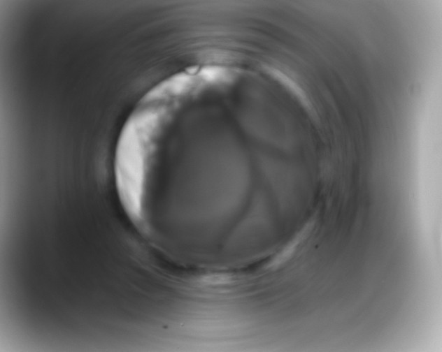 X0000088140353200706041341