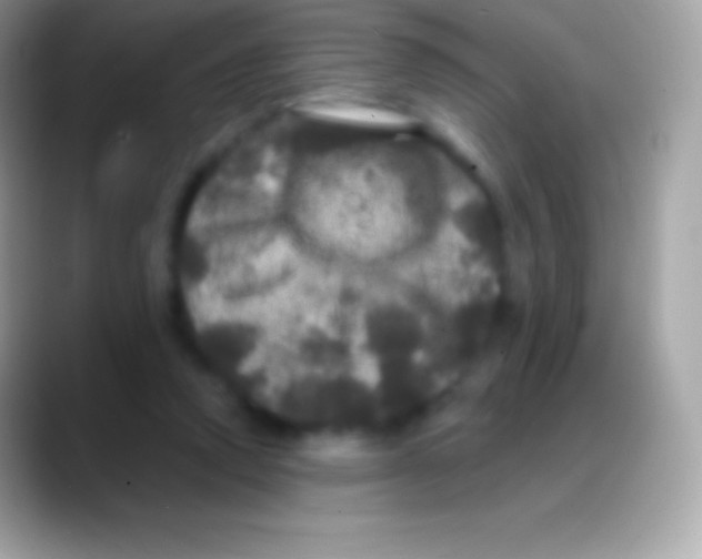 X0000088140354200706041341