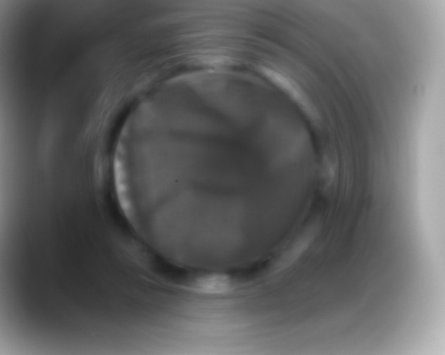 X0000088140355200706041341