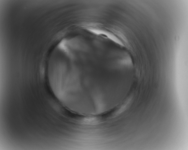 X0000088140357200706041341