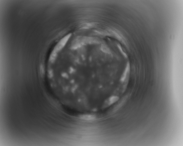 X0000088140358200706041341