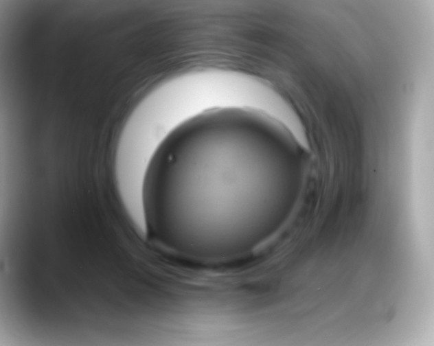 X0000088140360200706041341