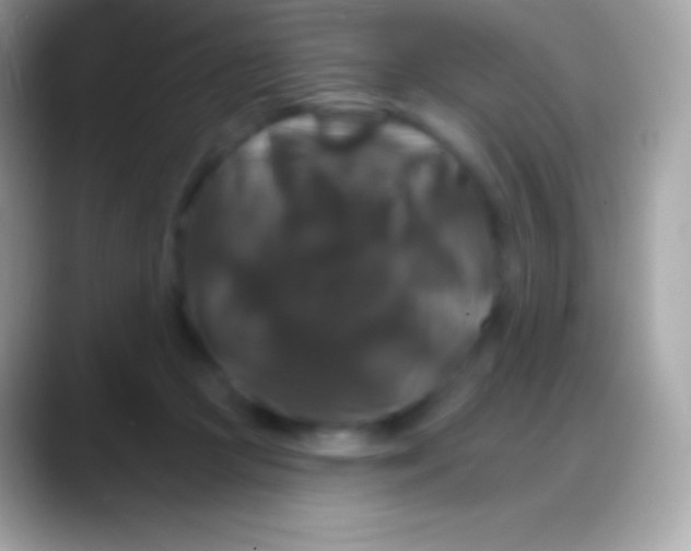 X0000088140361200706041341