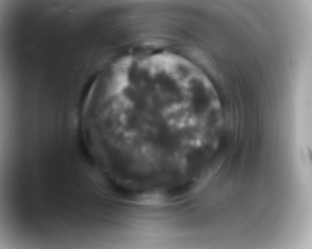 X0000088140363200706041341