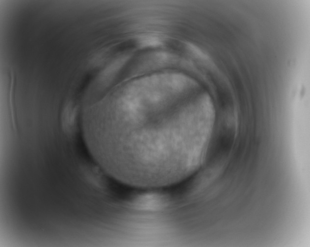 X0000088140364200706041341