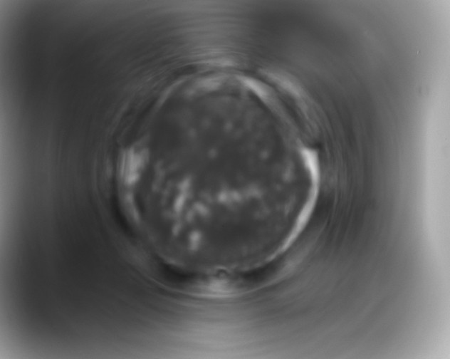 X0000088140365200706041341