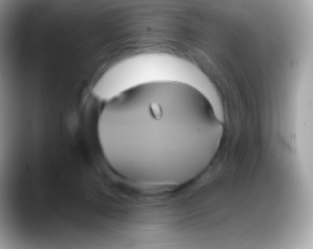 X0000088140368200706041341