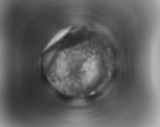 X0000088140369200706041341