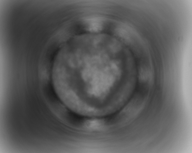 X0000088140370200706041341