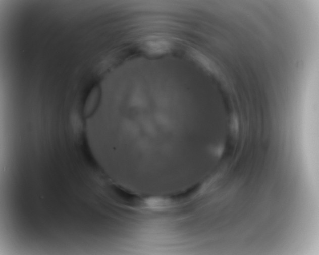 X0000088140371200706041341