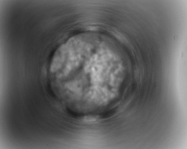 X0000088140373200706041341